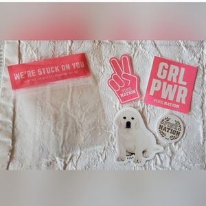 VS PINK 2019 Girl Puppy Power Were Stuck On You 4 piece sticker set RARE LIMITED
